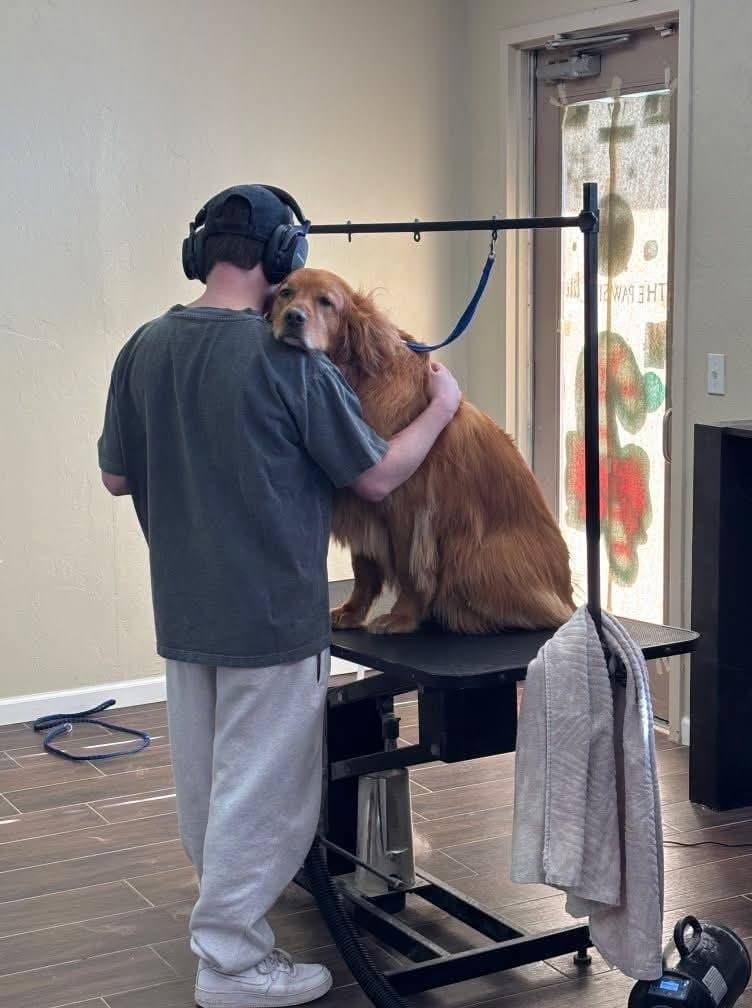 A Paw Spa groomer hugging a golden retriever on the grooming table.