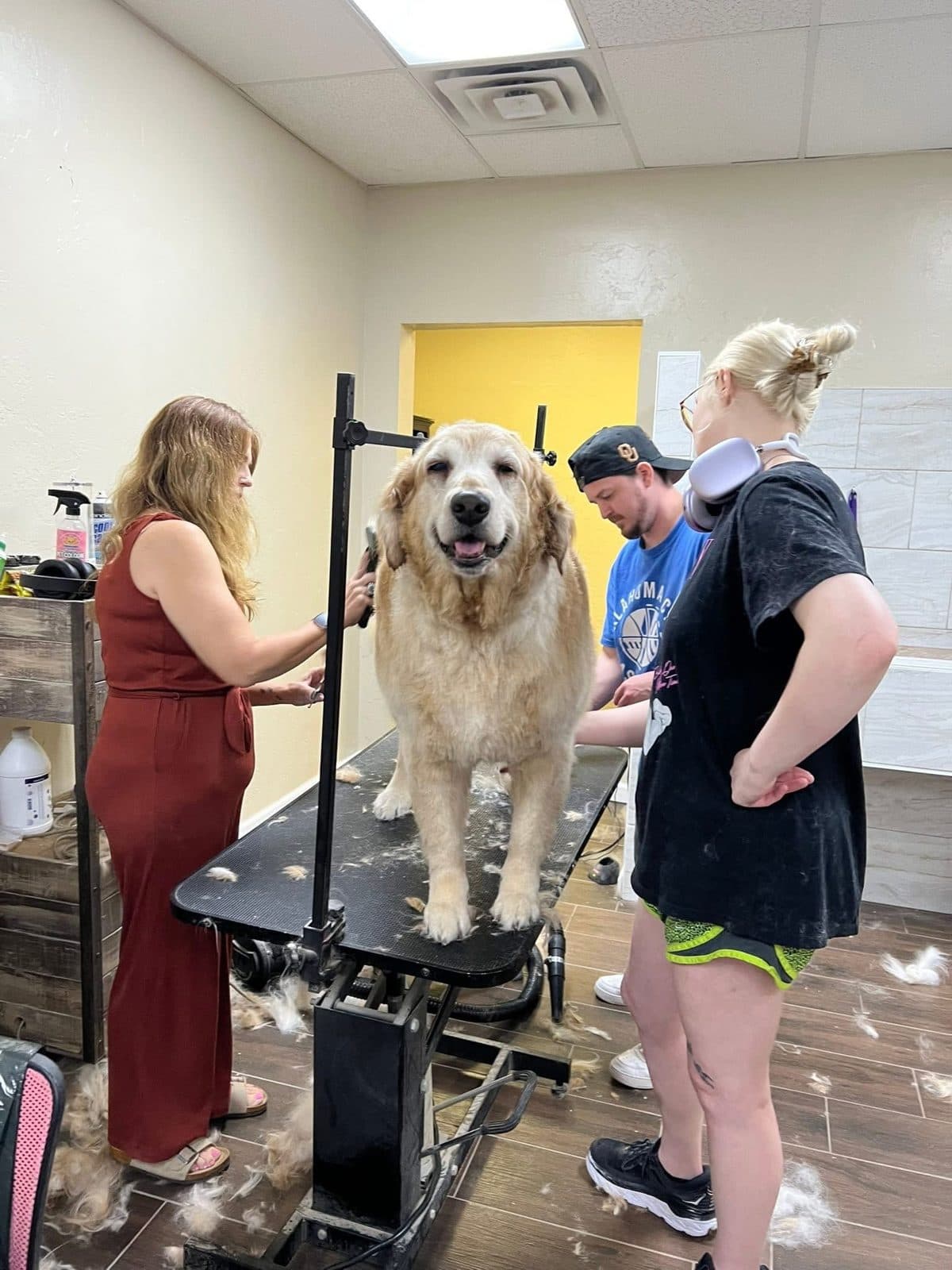 A big, happy golden retriever on the grooming table while three Paw Spa groomers work around him.